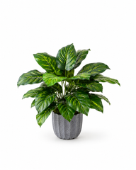 Realistic Artificial Plants For Home Decor Indoor Silk Foliage Set